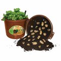 City Pickers Spud Tub Potato Grow Kit, Works Great on Decks and Patios, Low Maintenance & High Potato Yields 2351-1